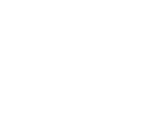 The Village